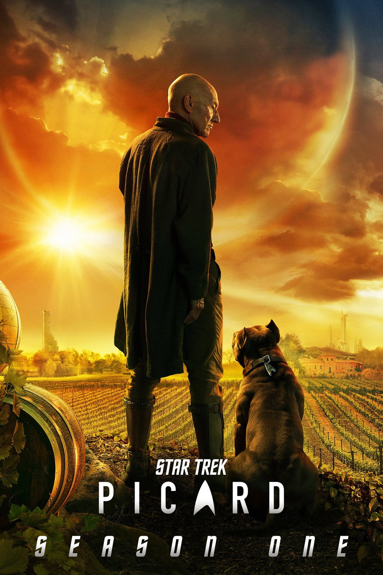 Sprawdź Star Trek: Picard - Sezon 1 Online na Vider