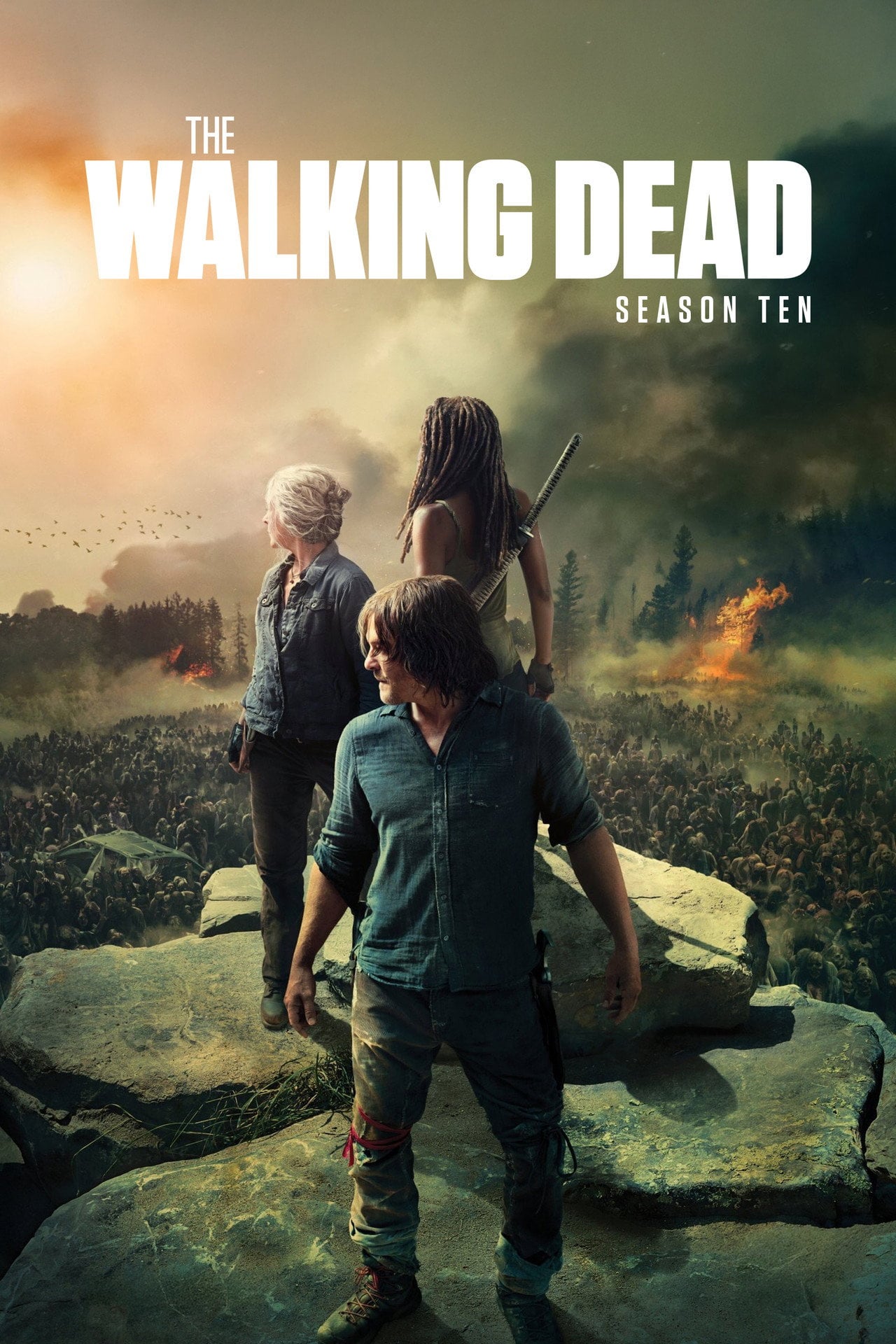 Sprawdź The Walking Dead - Sezon 10 Online na Vider