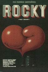 Sprawdź Rocky - dostępność w katalogu Vider
