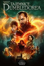 Sprawdź Fantastyczne zwierzęta: Tajemnice Dumbledore'a - dostępność w katalogu Vider