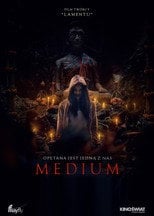 Sprawdź Medium - dostępność w katalogu Vider