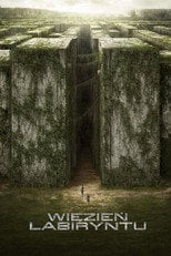 Sprawdź Więzień labiryntu - dostępność w katalogu Vider