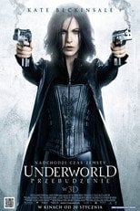 Sprawdź Underworld 4: Przebudzenie - dostępność w katalogu Vider