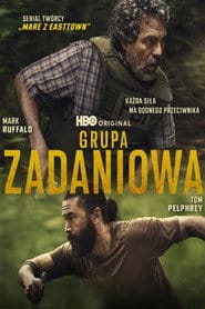 Sprawdź Grupa zadaniowa - dostępność w katalogu Vider
