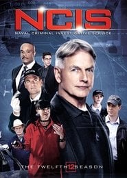 Sprawdź Agenci NCIS - Sezon 12 Online na Vider