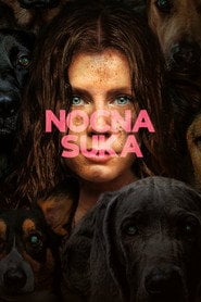 Sprawdź Nocna suka - dostępność w katalogu Vider
