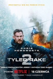 Sprawdź Tyler Rake 2 - dostępność w katalogu Vider