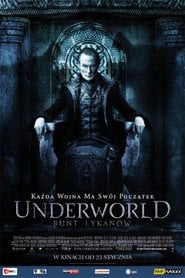 Sprawdź Underworld 3: Bunt Lykanów - dostępność w katalogu Vider