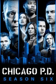 Sprawdź Chicago P.D. - Sezon 6 Online na Vider