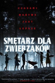 Sprawdź Smętarz dla zwierzaków - dostępność w katalogu Vider