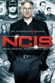 Sprawdź Agenci NCIS - Sezon 14 Online na Vider