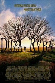 Sprawdź Duża ryba - dostępność w katalogu Vider
