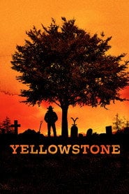 Sprawdź Yellowstone - Sezon 5 Online na Vider