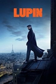 Sprawdź Lupin - dostępność w katalogu Vider