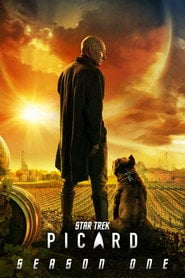 Sprawdź Star Trek: Picard - Sezon 1 Online na Vider