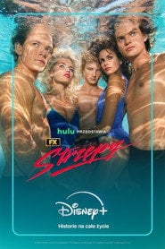 Sprawdź Strzępy - dostępność w katalogu Vider