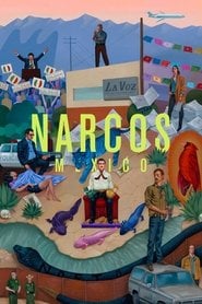 Sprawdź Narcos: Meksyk - Sezon 3 Online na Vider