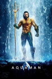 Sprawdź Aquaman - dostępność w katalogu Vider