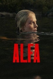 Sprawdź Alfa - dostępność w katalogu Vider