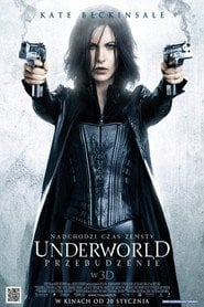 Sprawdź Underworld 4: Przebudzenie - dostępność w katalogu Vider