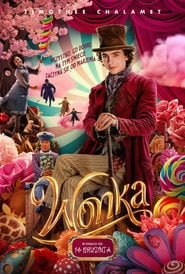 Sprawdź Wonka - dostępność w katalogu Vider