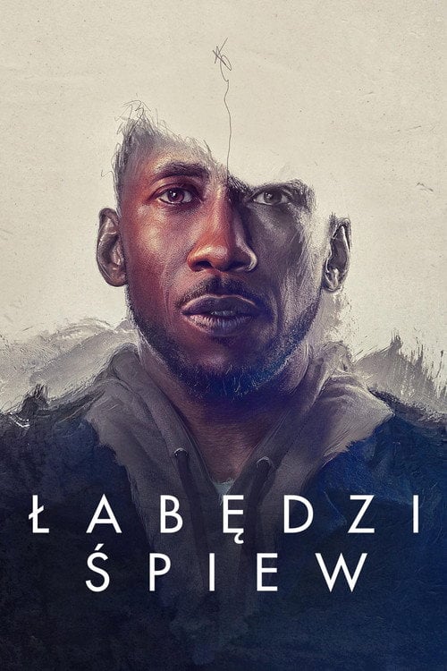 Sprawdź Łabędzi śpiew - dostępność w katalogu Vider