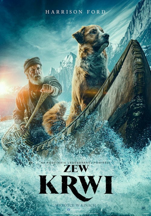 Sprawdź Zew krwi - dostępność w katalogu Vider