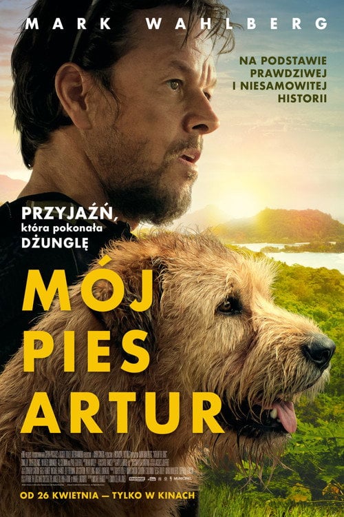 Sprawdź Mój pies Artur - dostępność w katalogu Vider