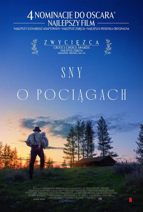 Sprawdź Sny o pociągach - dostępność w katalogu Vider