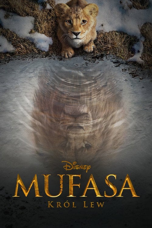 Sprawdź Mufasa: Król Lew - dostępność w katalogu Vider