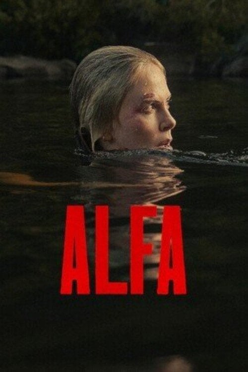 Sprawdź Alfa - dostępność w katalogu Vider